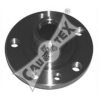 CAUTEX 011025 Wheel Hub